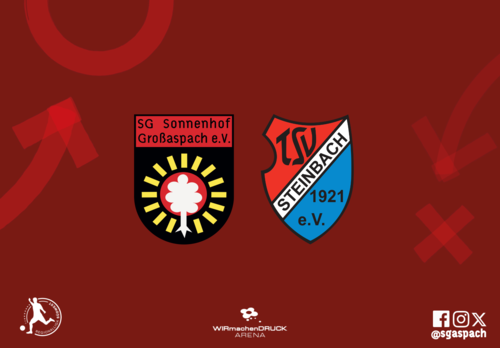 Floodlit match on Friday evening: TSV Steinbach Haiger comes to Aspach