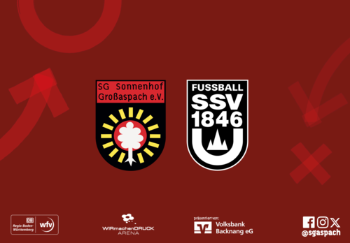 Battle for the semi-final ticket: Third-division team Ulm challenges SG on ...